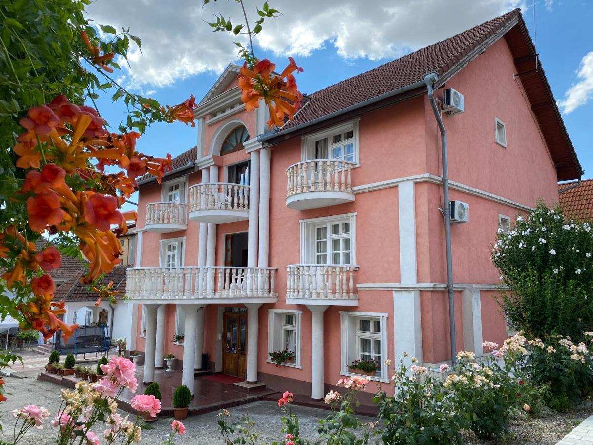 Pensiunea Ana Băile Felix Exterior foto